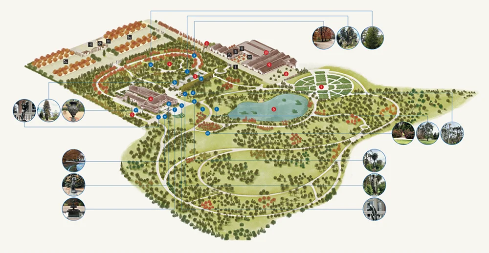 Mapa Concha y Toro