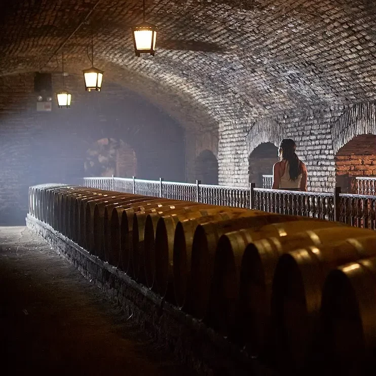 Barricas Bodega Viña Concha y Toro